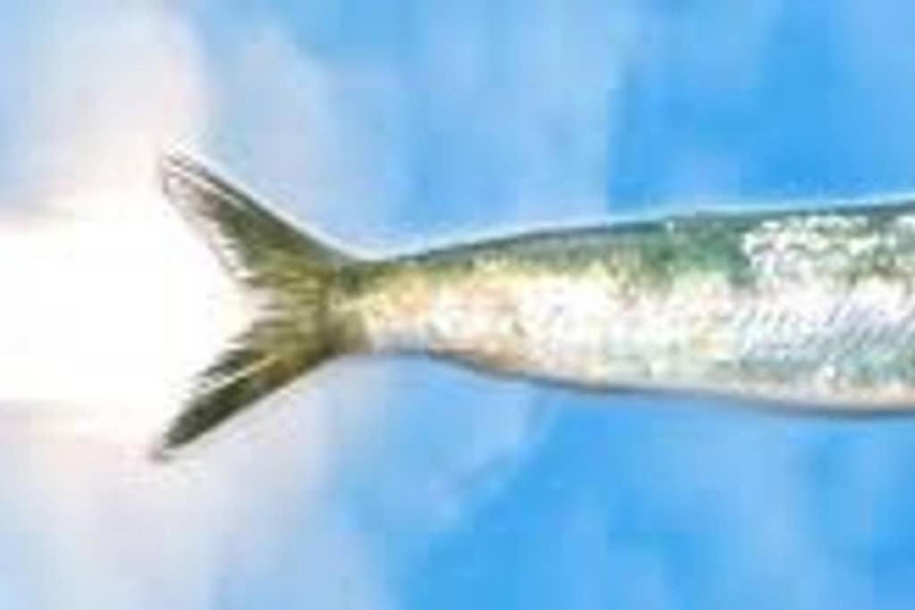 Appartement La Sardine Au Coeur Du Panier à Marseille Extérieur photo